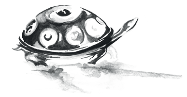 turtle